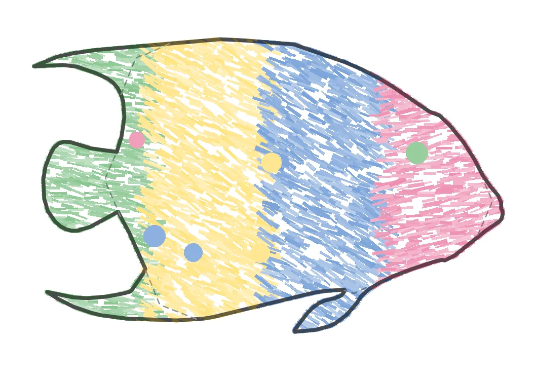 A printed fish outline being coloured in with crayons